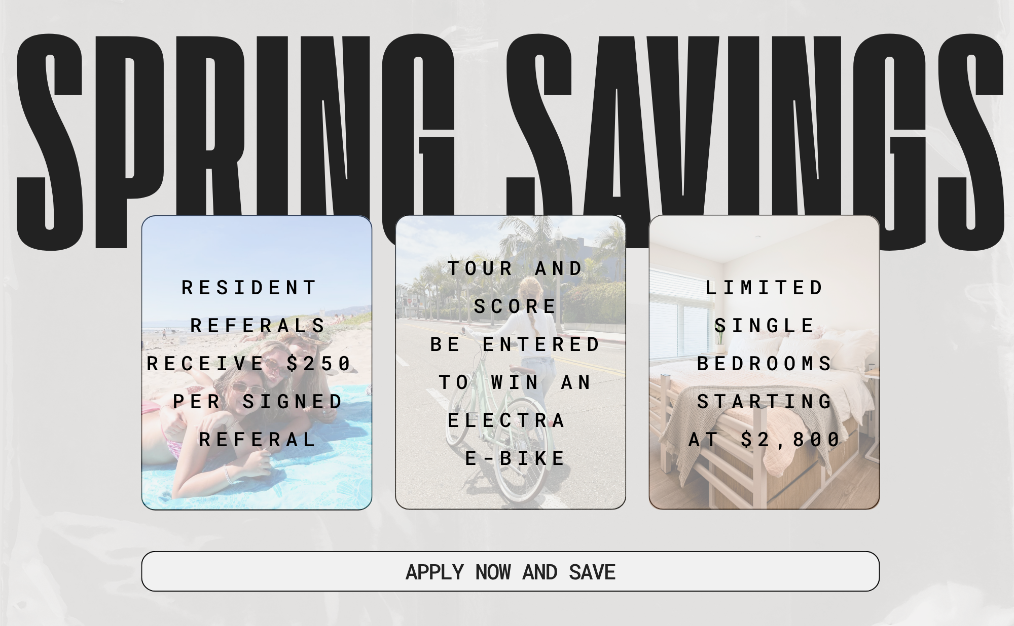 Spring Savings Popup