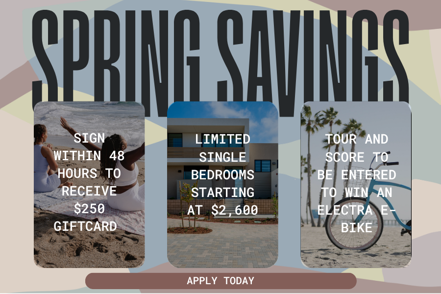 Spring Savings Popup
