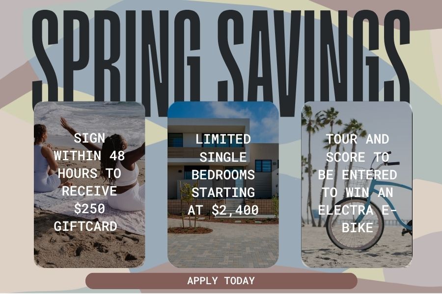 Spring Savings Popup