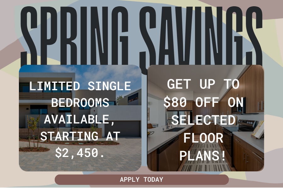 Spring Savings Popup