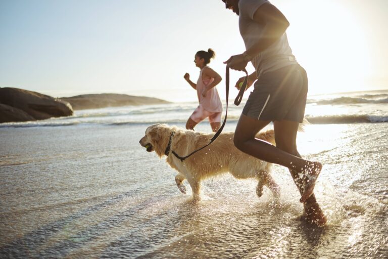 A happy dog on a pet-friendly Santa Barbara beach